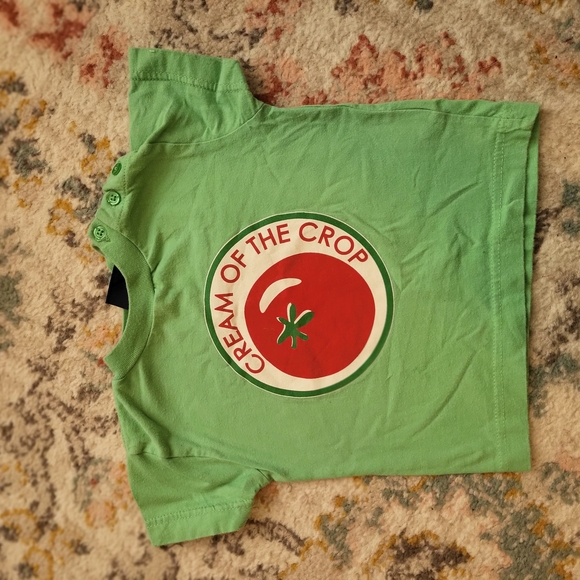 Mini Boden Other - Rare Green Mini Boden Shirt with Tomato Print